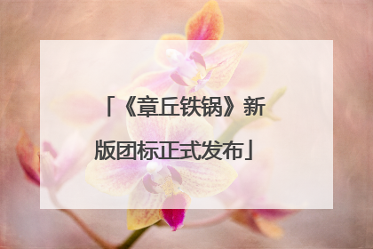 《章丘铁锅》新版团标正式发布