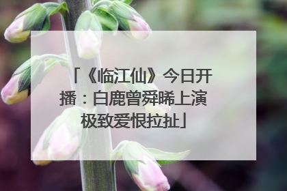 《临江仙》今日开播：白鹿曾舜晞上演极致爱恨拉扯