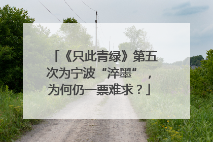 《只此青绿》第五次为宁波“淬墨”，为何仍一票难求？