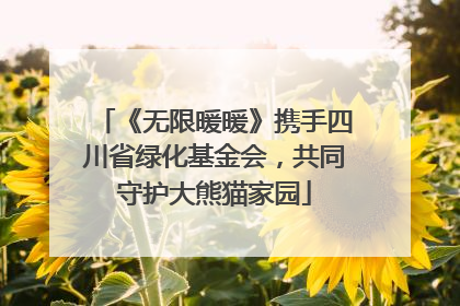 《无限暖暖》携手四川省绿化基金会，共同守护大熊猫家园