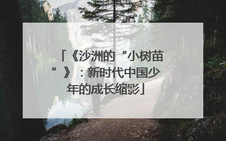 《沙洲的“小树苗”》：新时代中国少年的成长缩影