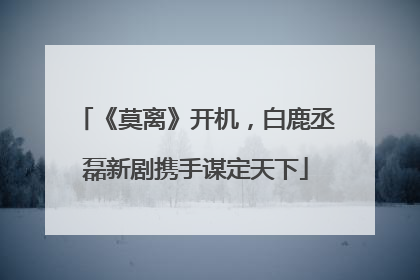 《莫离》开机，白鹿丞磊新剧携手谋定天下
