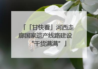 「甘快看」河西走廊国家遗产线路建设“干货满满”