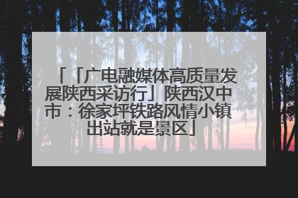 「广电融媒体高质量发展陕西采访行」陕西汉中市：徐家坪铁路风情小镇 出站就是景区