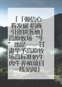 「强信心 看发展·招商引资拼落地」高原牧场“牛”劲足——甘肃华予高原牧场高标准奶牛肉牛养殖项目一线见闻