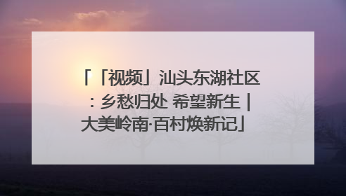「视频」汕头东湖社区：乡愁归处 希望新生｜大美岭南·百村焕新记