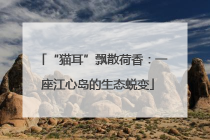 “猫耳”飘散荷香：一座江心岛的生态蜕变