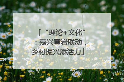“理论+文化”：嘉兴黄岩联动，乡村振兴添活力