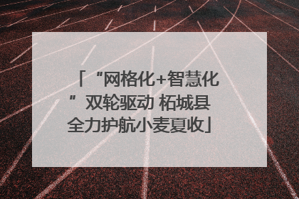 “网格化+智慧化”双轮驱动 柘城县全力护航小麦夏收