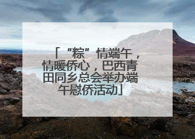 “粽”情端午，情暖侨心，巴西青田同乡总会举办端午慰侨活动