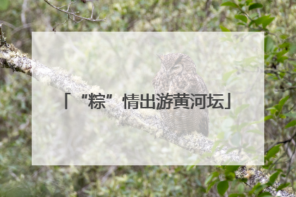 “粽”情出游黄河坛