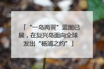 “一岛两翼”蓝图已展，在复兴岛面向全球发出“杨浦之约”