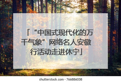 “中国式现代化的万千气象”网络名人安徽行活动走进休宁
