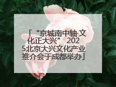 “京城南中轴·文化正大兴” 2025北京大兴文化产业推介会于成都举办