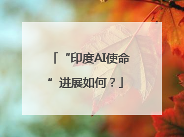 “印度AI使命”进展如何？