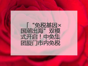 “免税基因×国潮出海”双模式开启！中免集团厦门市内免税店正式开业