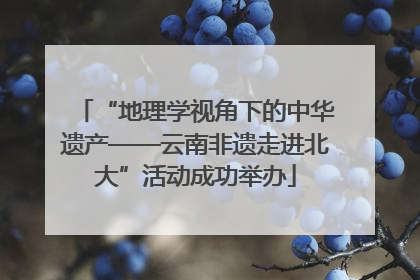 “地理学视角下的中华遗产——云南非遗走进北大”活动成功举办