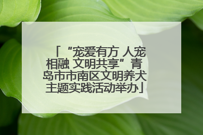 “宠爱有方 人宠相融 文明共享”青岛市市南区文明养犬主题实践活动举办