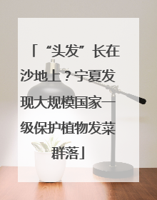 “头发”长在沙地上？宁夏发现大规模国家一级保护植物发菜群落