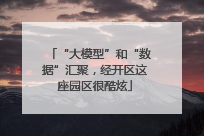 “大模型”和“数据”汇聚，经开区这座园区很酷炫