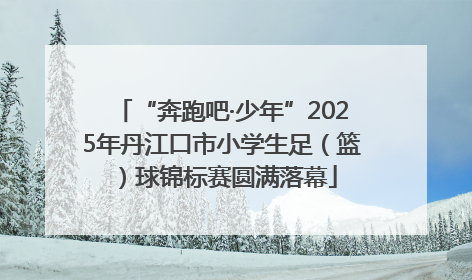 “奔跑吧·少年”2025年丹江口市小学生足（篮）球锦标赛圆满落幕