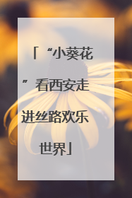 “小葵花”看西安走进丝路欢乐世界