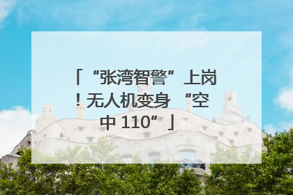 “张湾智警”上岗！无人机变身 “空中 110”