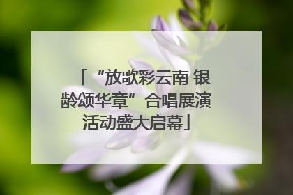 “放歌彩云南 银龄颂华章”合唱展演活动盛大启幕