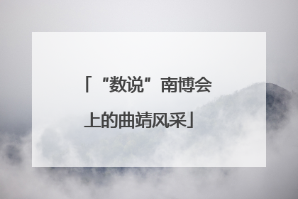 “数说”南博会上的曲靖风采