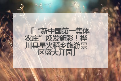 “新中国第一集体农庄”焕发新彩！桦川县星火稻乡旅游景区盛大开园