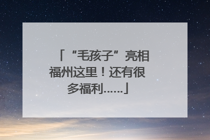 “毛孩子”亮相福州这里！还有很多福利……