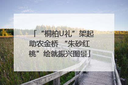 “桐柏U礼”架起助农金桥 “朱砂红桃”绘就振兴图景