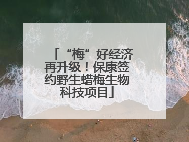 “梅”好经济再升级！保康签约野生蜡梅生物科技项目