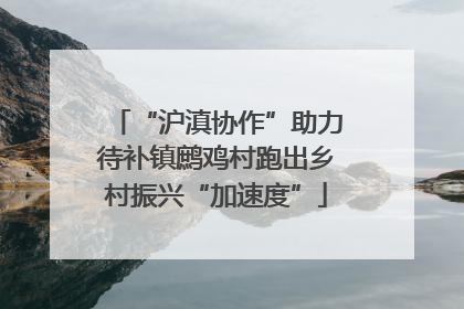 “沪滇协作”助力待补镇鹧鸡村跑出乡村振兴“加速度”