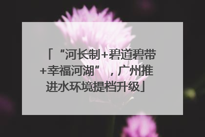 “河长制+碧道碧带+幸福河湖”，广州推进水环境提档升级
