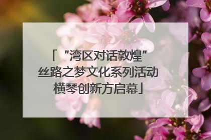 “湾区对话敦煌” 丝路之梦文化系列活动横琴创新方启幕
