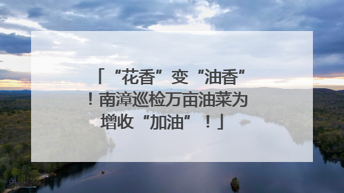 “花香”变“油香”！南漳巡检万亩油菜为增收“加油”！