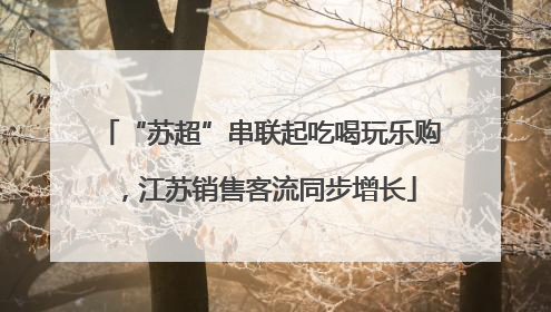 “苏超”串联起吃喝玩乐购，江苏销售客流同步增长