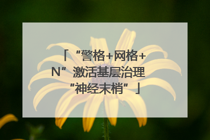 “警格+网格+N”激活基层治理“神经末梢”