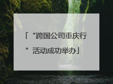“跨国公司重庆行”活动成功举办