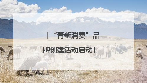 “青新消费”品牌创建活动启动