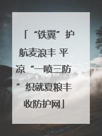 “铁翼”护航麦浪丰 平凉“一喷三防”织就夏粮丰收防护网