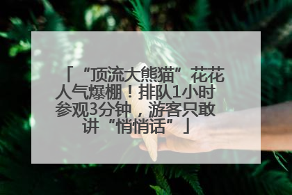 “顶流大熊猫”花花人气爆棚！排队1小时参观3分钟，游客只敢讲“悄悄话”