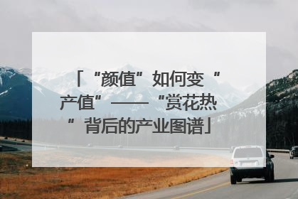“颜值”如何变“产值”——“赏花热”背后的产业图谱