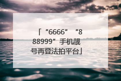 “6666”“888999”手机靓号再登法拍平台