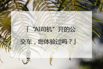 “AI司机”开的公交车，您体验过吗？