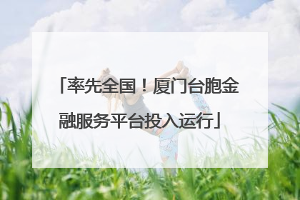 率先全国！厦门台胞金融服务平台投入运行