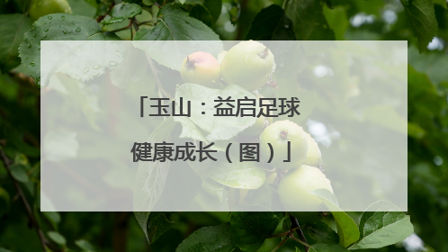 玉山：益启足球 健康成长（图）
