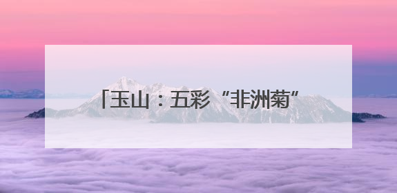 玉山：五彩“非洲菊”绽放横街镇 朵朵“振兴花”催生乡村共富图景