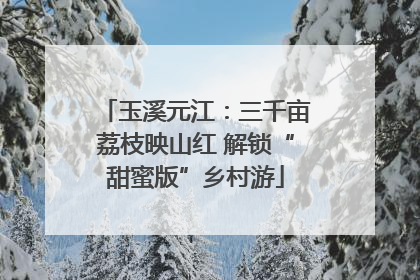 玉溪元江：三千亩荔枝映山红 解锁“甜蜜版”乡村游
